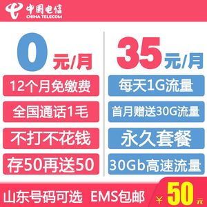电信福瑞卡