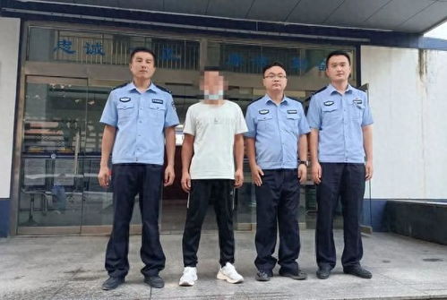 赌博,罚 盗窃,抓 回头是岸,规劝投案 电信网络 网易订阅
